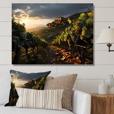 " Vineyard Misty Meadows Cellars II "