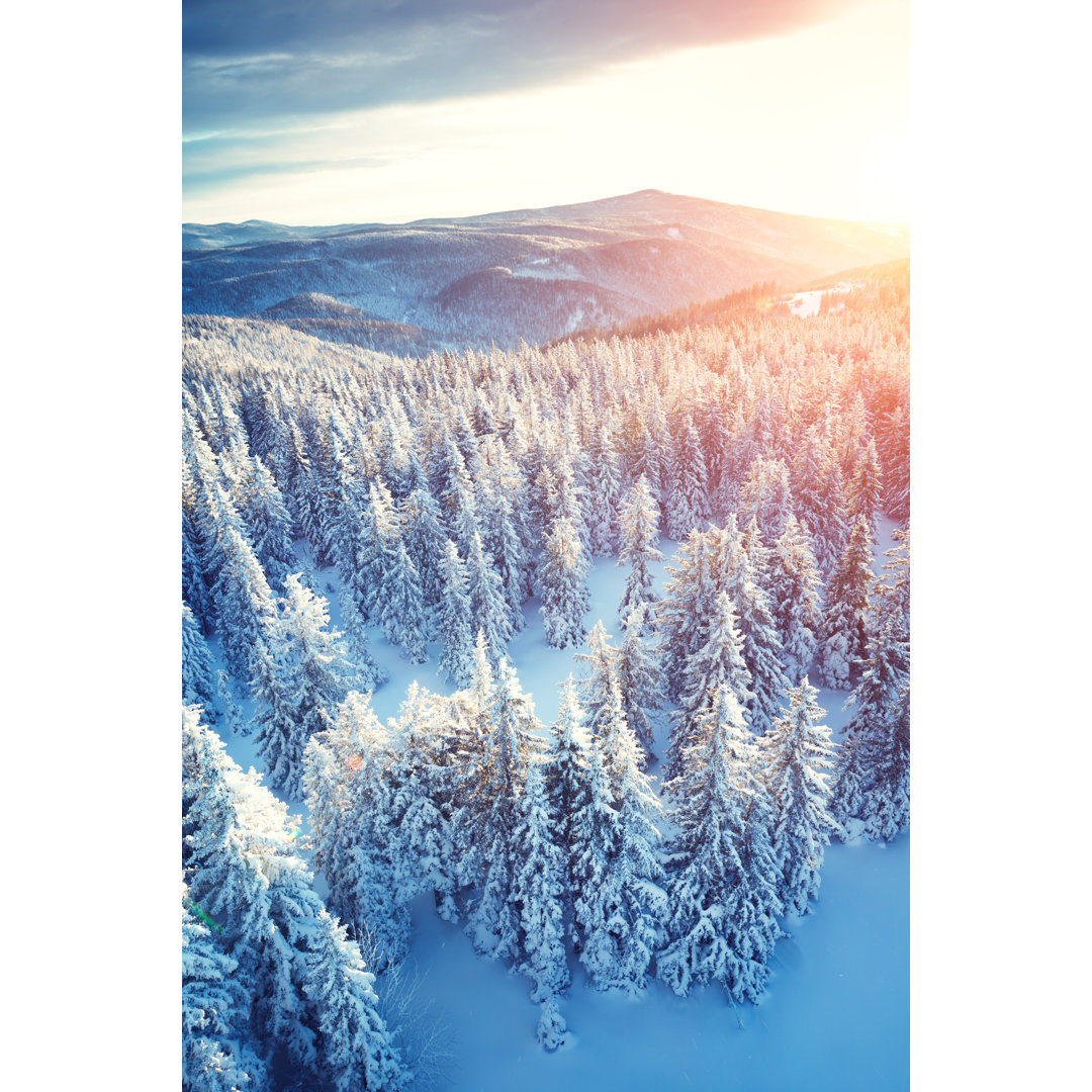 Idyllischer Wintersonnenaufgang von Borchee - Kunstdrucke auf Leinwand