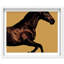Hue Equine II Framed Graphic Art-724841019-614038994