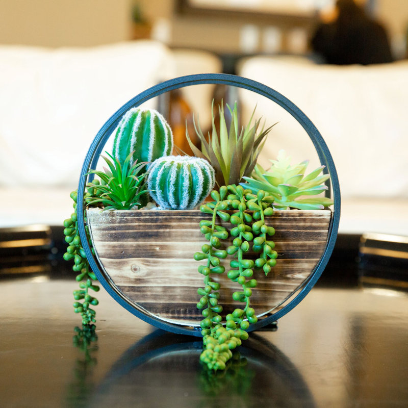 Ensemble de 5 plantes succulent artificielles dans un panier