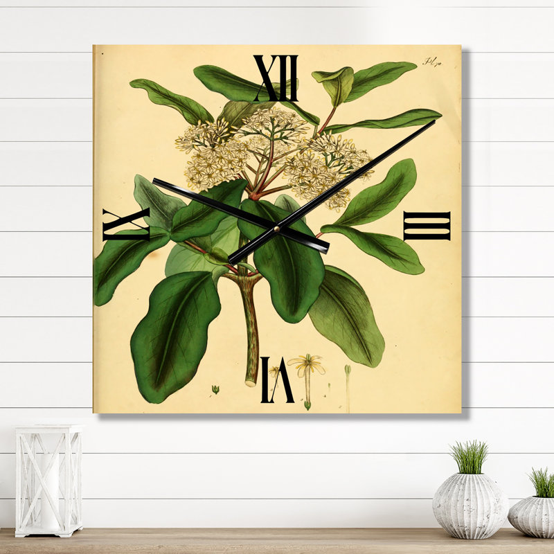 Horloge murale Plant Life I, Petit