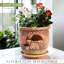 Advith Indoor/Outdoor Clay Pot Planter