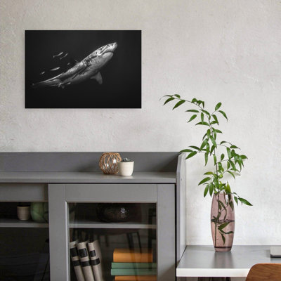 Great White Predator Contemporary Fish Shark Nature Ocean Wall Art Print