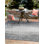Outdoor Iris Area Rug Char Color