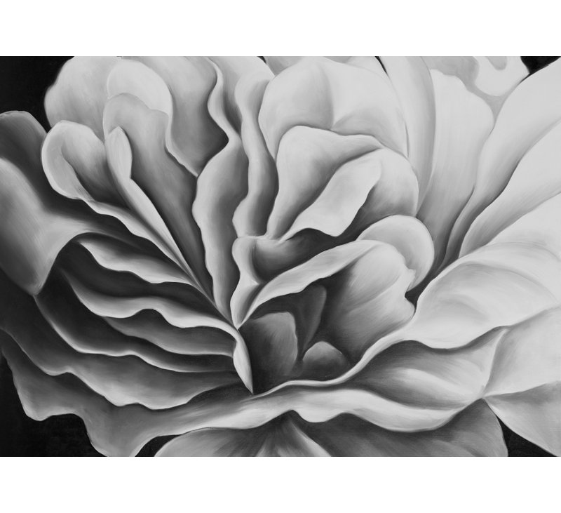 Beautiful Black and White Flower - Botanical Canvas Art