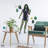 Fantasy & Sci-Fi Non-Wall Damaging Wall Decal