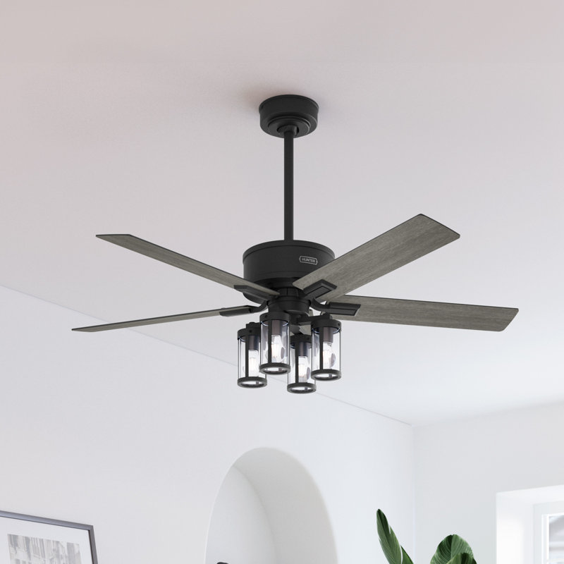 Ventilateur de plafond 52 po avec lumières et télécommande Hunter, Noir mat