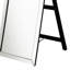 Miroir sur pied 22 po x 61 po avec cadre argenté