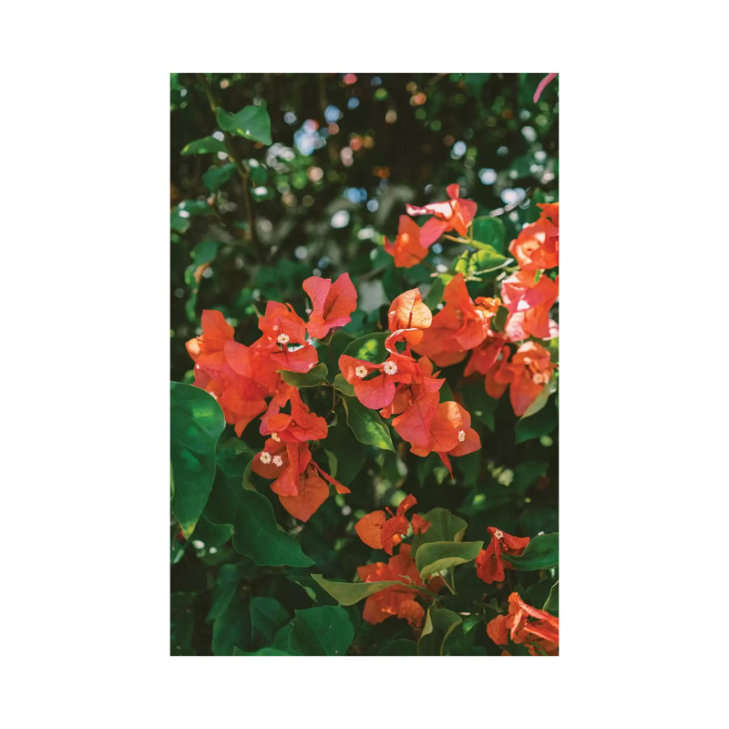 Tropical Hawaii IV by Bethany Young - Print on Canvas, Wrapped Canvas, 30.48cm H x 20.32cm W x 1.91cm D