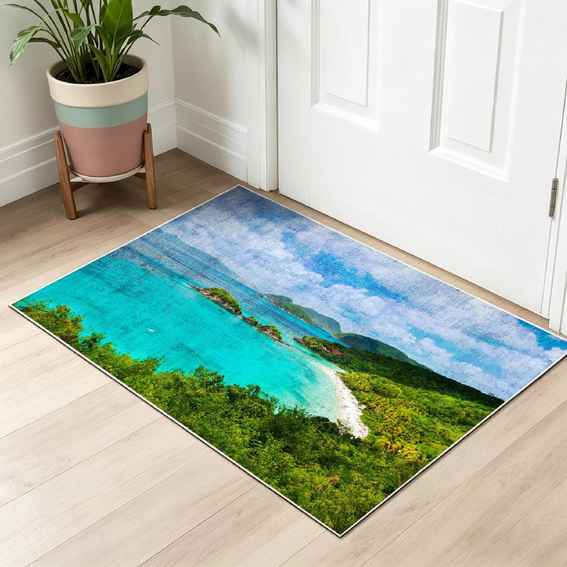 Magnifique tapis d'intérieur transparent lavable à la machine, Trunk Island, Rectangle 32 po x 47 po