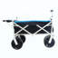 Chariot de plage pliable-123262906