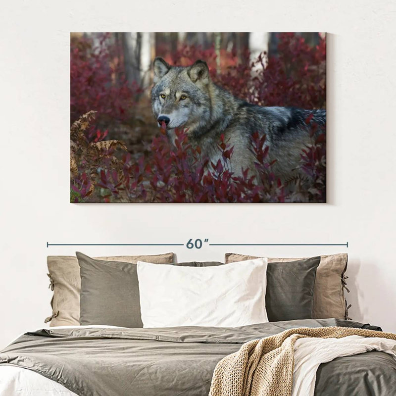 Brampt Gray Timber Wolf, 34" H x 51" W