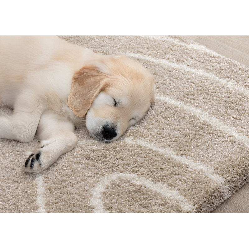 Tapis beige crème Flourish Wavy Lines, Rectangle 6 pi 7 po x 9 pi 10 po
