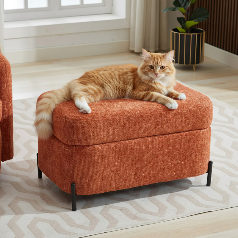 Repose-pieds avec rangement, Orange