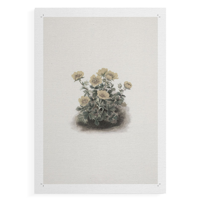 Imprimé floral rétro CC - reproduction de toile seulement - non encadrée, H 12 po x l 8 po