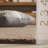 Arbois Hand Tufted Wool Indoor Rug-2018006846