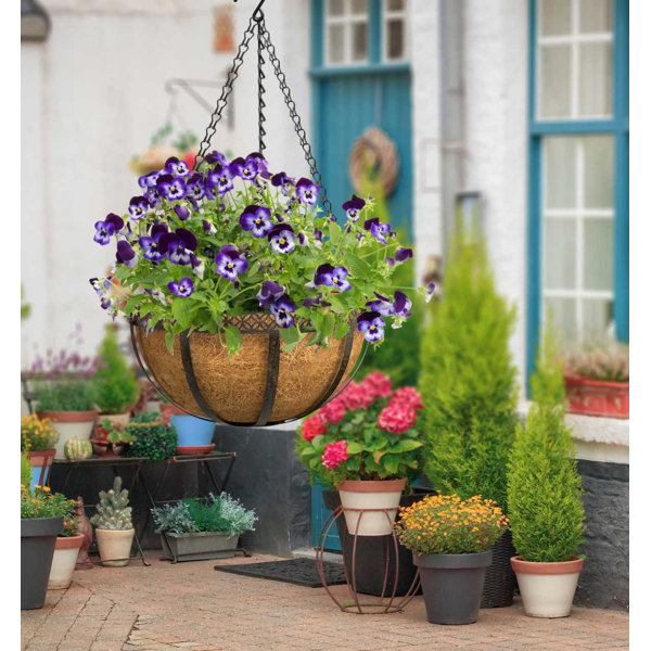 Freeport Park Martha Metal Hanging Basket & Reviews | Wayfair.co.uk