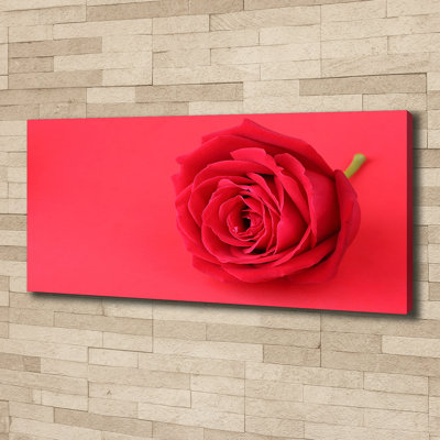 Red Rose - No Frame Print on Canvas