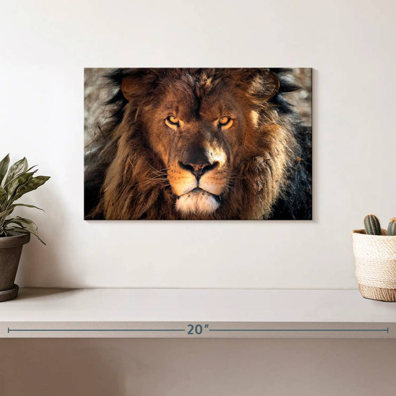 Tough Lion Head, 8" H x 12" W