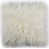 Ivory selected