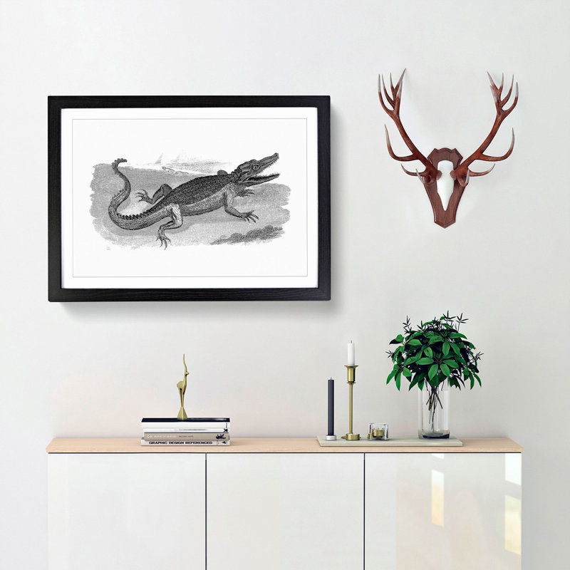 Crocodile in Black & White by George Shaw - Picture Frame Drawing Print, Black Framed, 27cm H x 36cm W x 2cm D