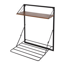 https://assets.wfcdn.com/im/97194603/resize-h210-w210%5Ecompr-r85/1950/195000423/Steel+Foldable+Wall-Mounted+Drying+Rack.jpg