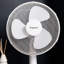 Samuel Alexander 19cm Table Fan Fan