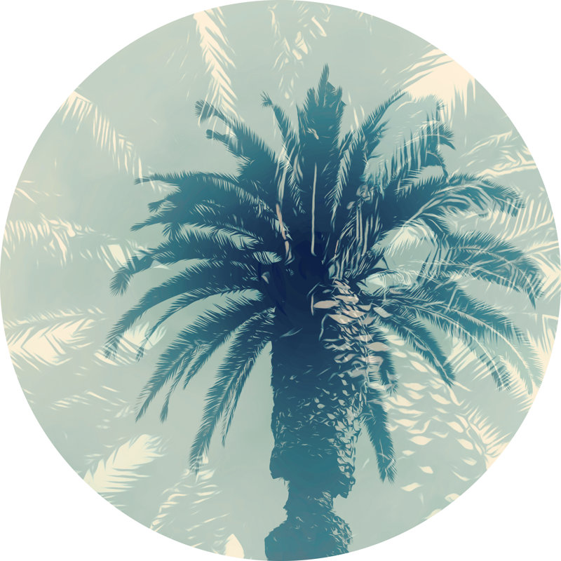 Palmier bleu I, H 12 po x l 12 po