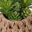 Plante artificielle, ensemble de 2, 9 po de hauteur, plante grasse, panier tissé brun, contemporain, moderne