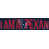 Houston Texans