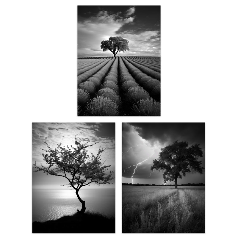 Lone Tree And Storm Clouds Black White Coastal Landscape - 3 Piece No Frame Print Set, 29.7cm H x 21cm W x 0.4cm D