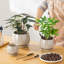 Ceramic Pot Planter-534234031-534234026