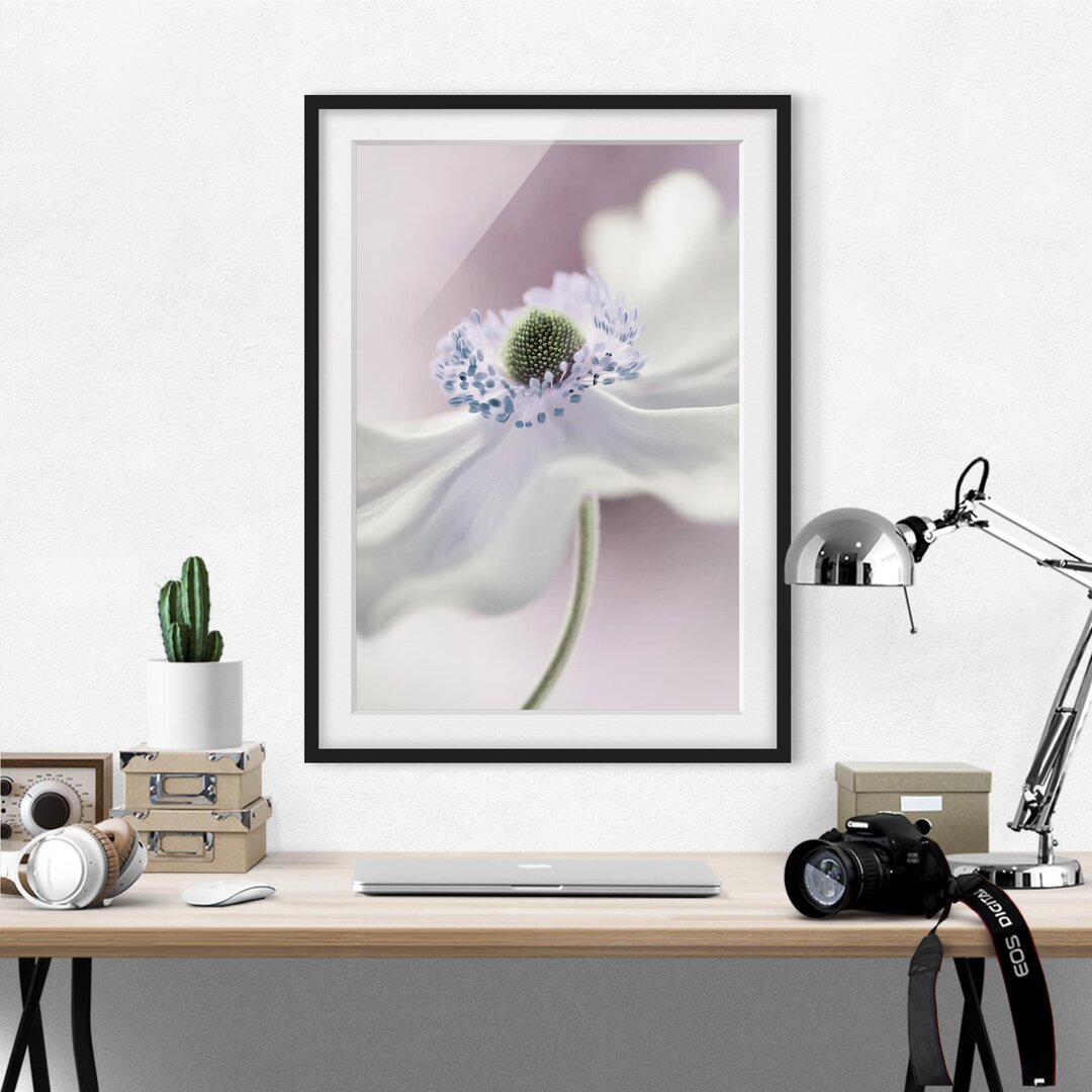 Gerahmter Fotodruck Anemone Breeze