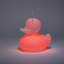 The Duck Duck Lamp XL rose-136243205-125499948