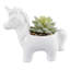 Plante grasse artificielle en pot 2 po-256607342