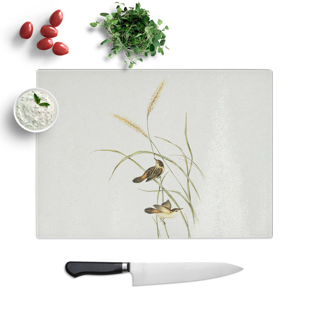 Tempered Glass Square-Tailed Warbler by Elizabeth Gould Chopping Board
