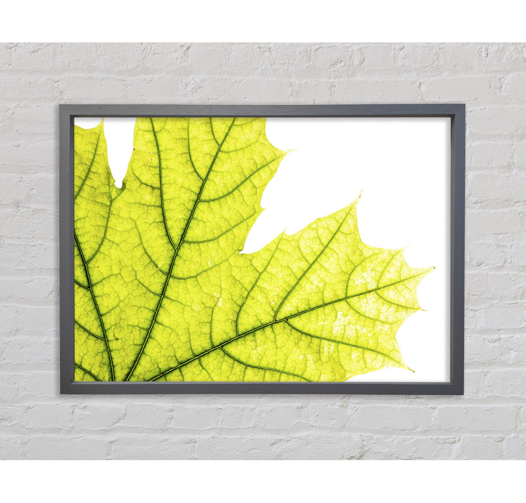 Magnificent Leaf - Einzelner Bilderrahmen Kunstdrucke auf Leinwand