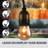 Taft Outdoor 15 - Bulb 576'' Plug-in String Light
