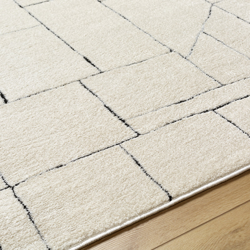Asfand Cream/Light Gray Area Rug, Rectangle 9'2" x 12'