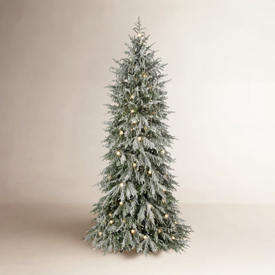 6' Microled Snowy Norfolk Tree49"D500L+49G40