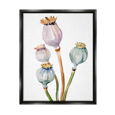 «Red Barrel Studio® Pastel Poppy Pods, aquarelle, encadrée par Floater par Jennifer Paxton Parker