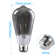 ST64 Light Bulb Dimmable, LED Vintage Edison Bulbs, E26 Base 4000K Cool White, Smoke Gray