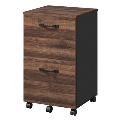 Cambrie 16.5'' Wide 2 -Drawer Mobile File Cabinet