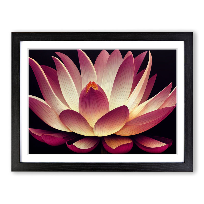 Adorable Lotus Flower - Single Picture Frame Painting, Black Framed, 25cm H x 34cm W x 2cm D