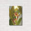 Art mural luxueux «Tropical Bird of Paradise» par Tim O'Toole, art mural en métal-101670553