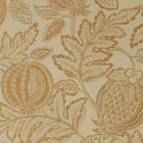 Cantaloupe Wallpaper