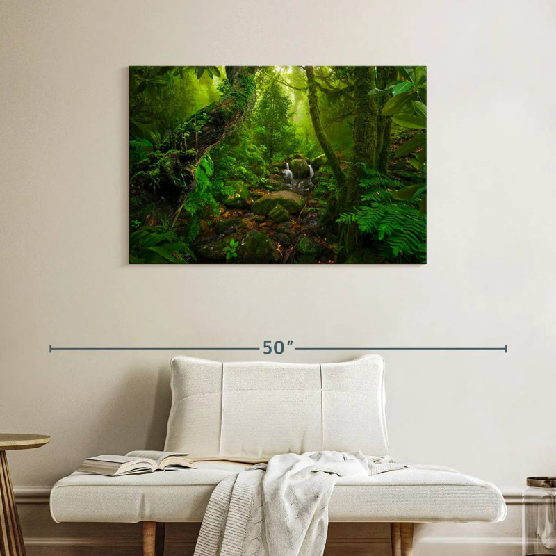 Alvord Tropical Forest Landscape