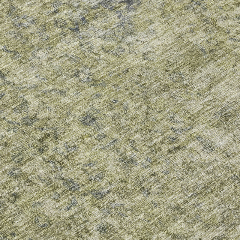 Machine Washable Indoor/Outdoor Claudian ACN1645 Sage Rug, Rectangle 2'6" x 3'10"