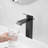 1 Mounting / Installation Required Single-handle Bathroom Faucet with Drain Assembly-101486189