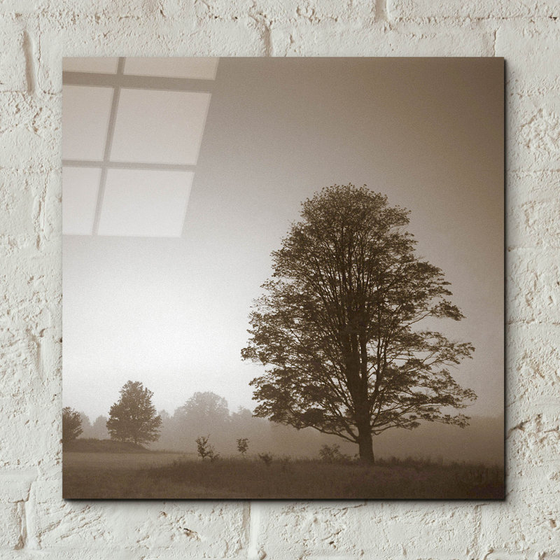 " Stillness " by PhotoINC Studio, 12" H x 12" W x 0.13" D